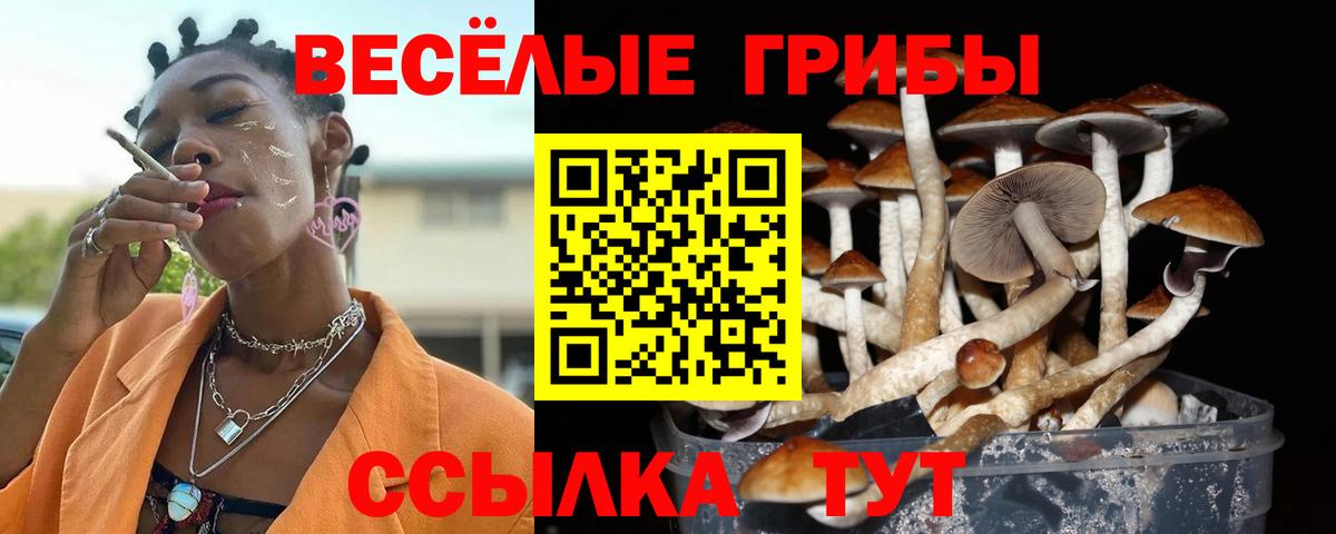 Учалы  Галлюциногенные грибы Psilocybine cubensis  Вход с VPN 